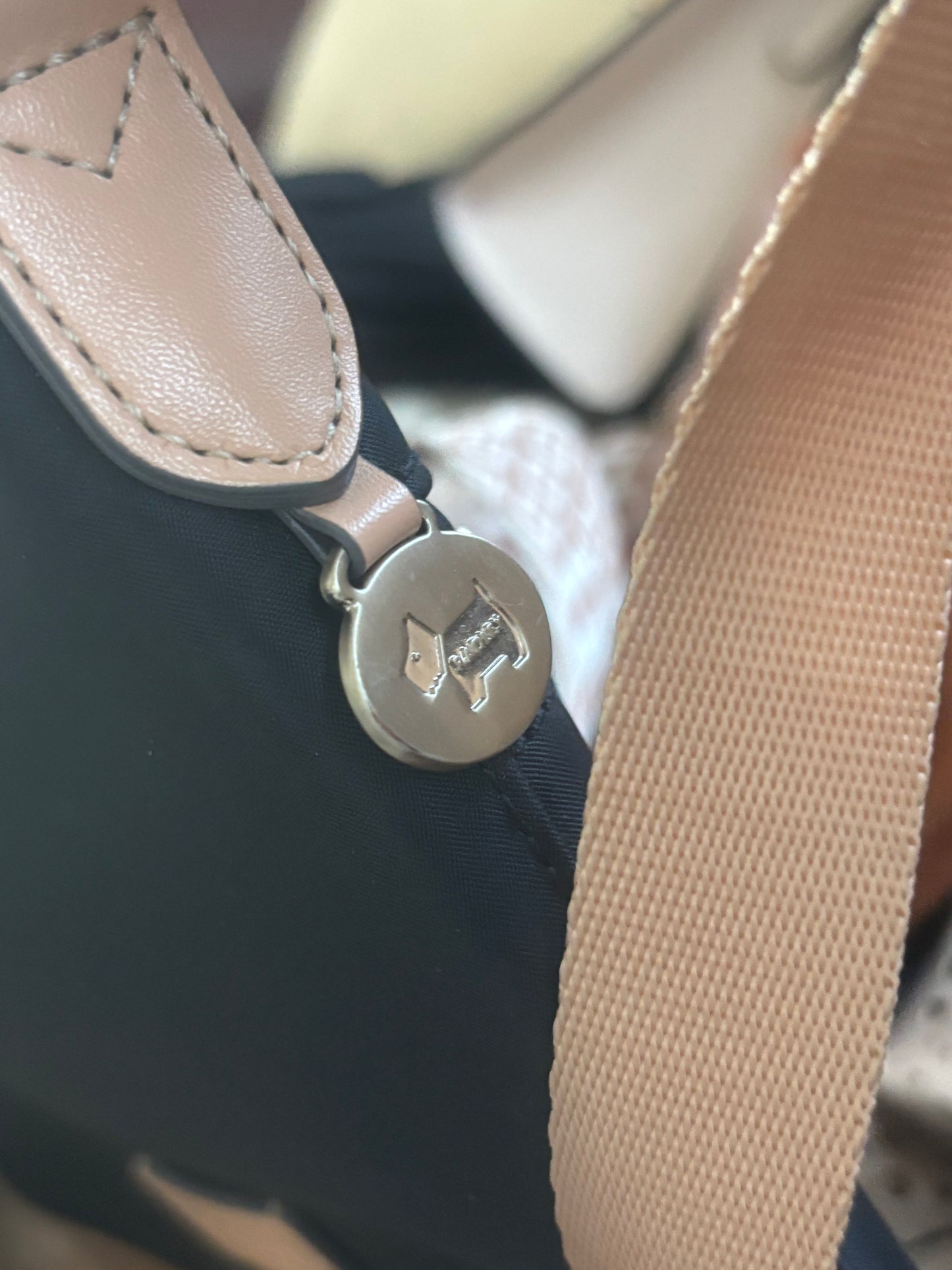 Radley crossbody Vinyl Bag