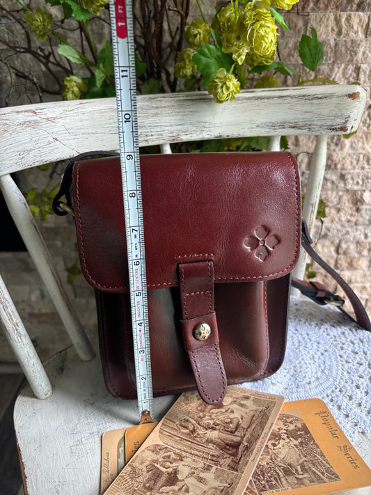 The Patricia Nash Crossbody Camera Tote