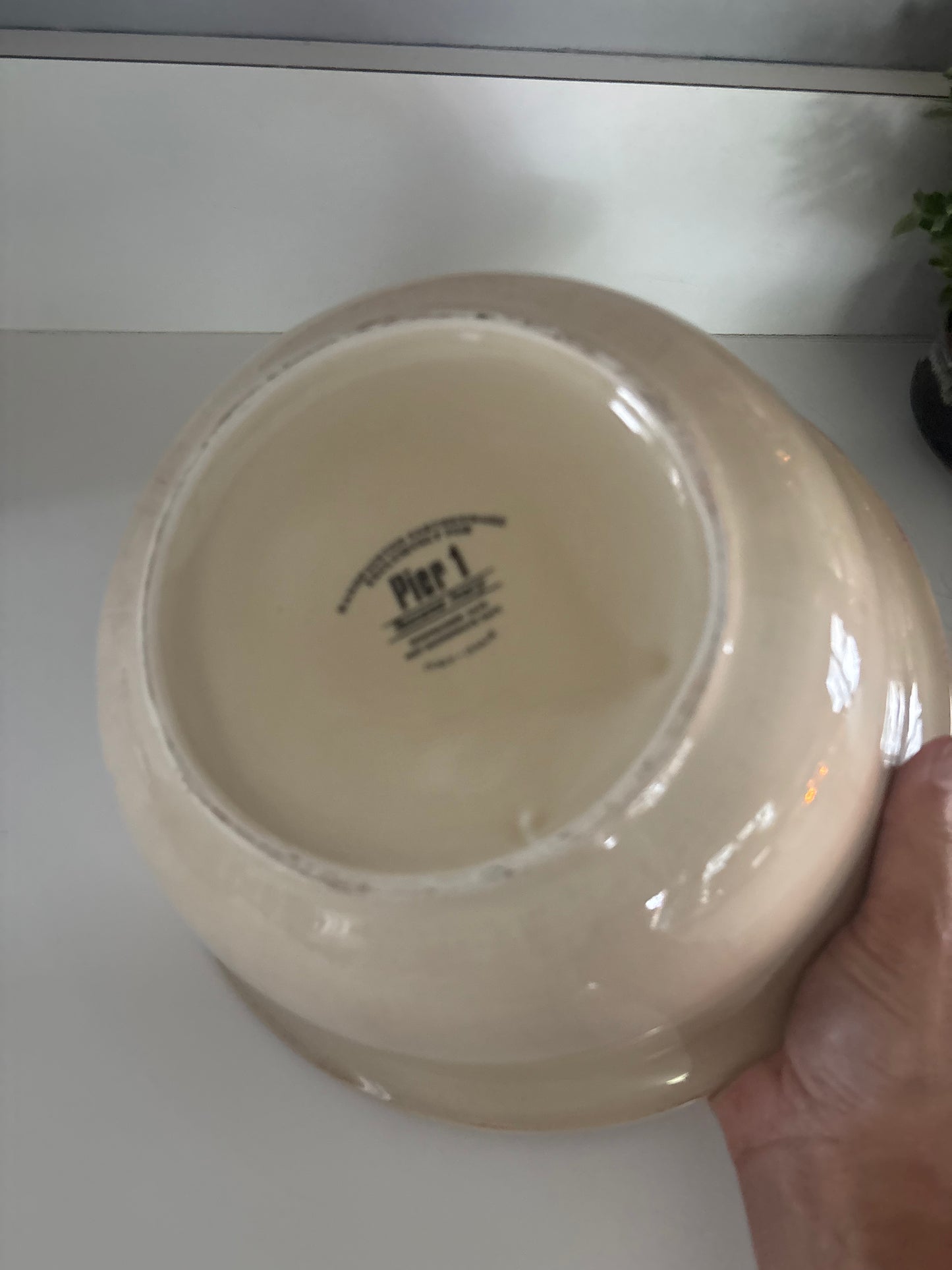 Pier One Earthy Mixing Bowl